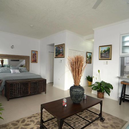 Kingsway New Kingston Guest Apartment II Exterior foto